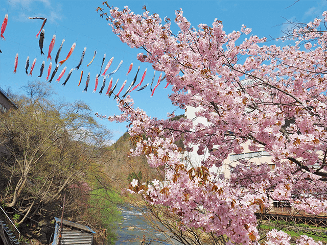 定山溪温泉溪流鲤鱼旗