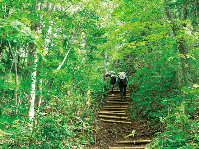 札幌岳·八剑山 (轻登山)